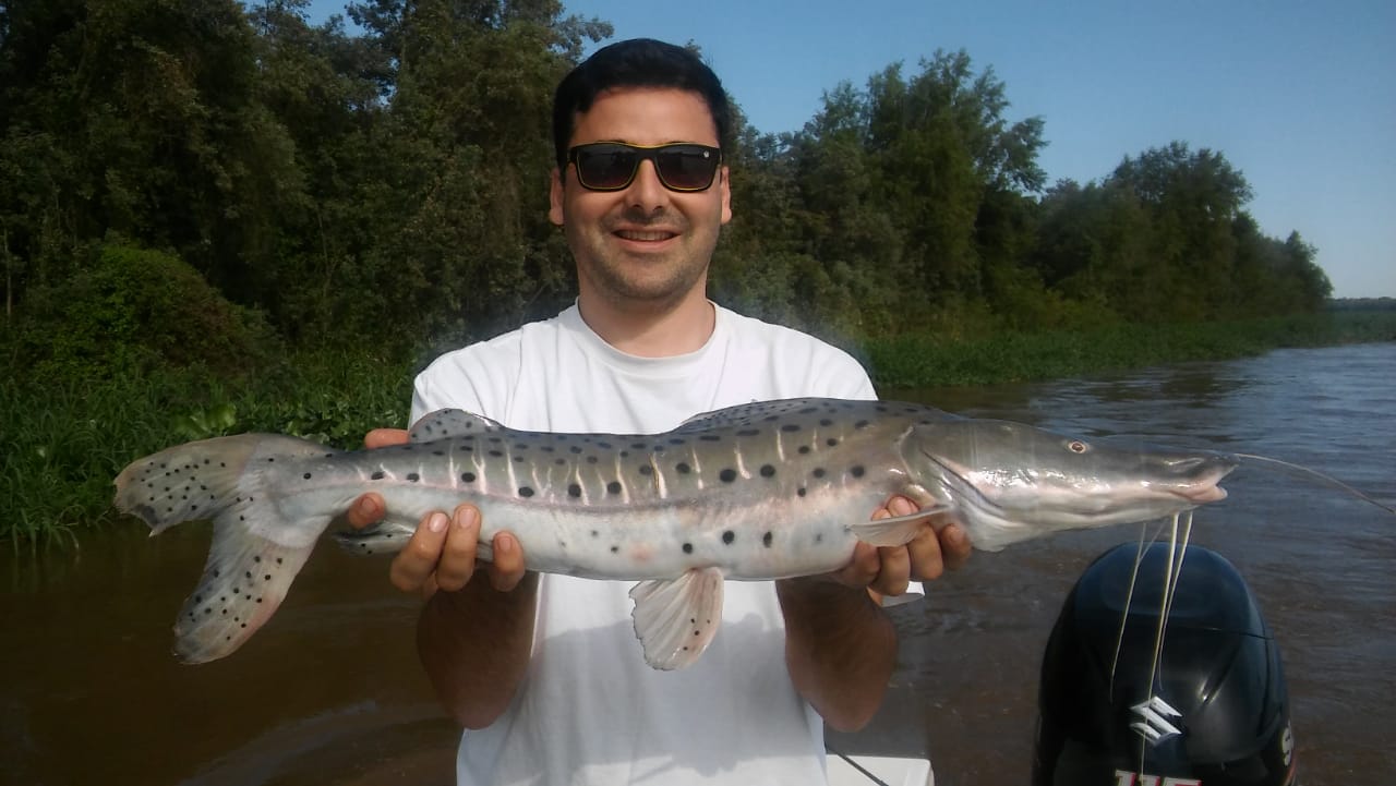 IMG-20190817-WA