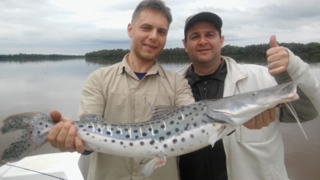 IMG-20190817-WA
