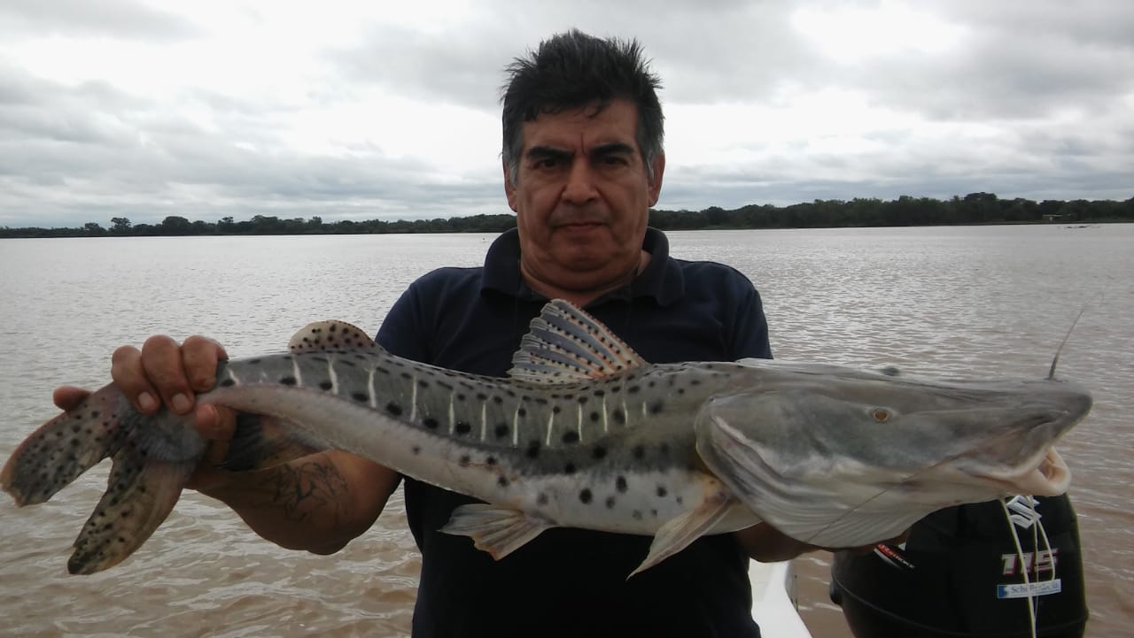 IMG-20190817-WA