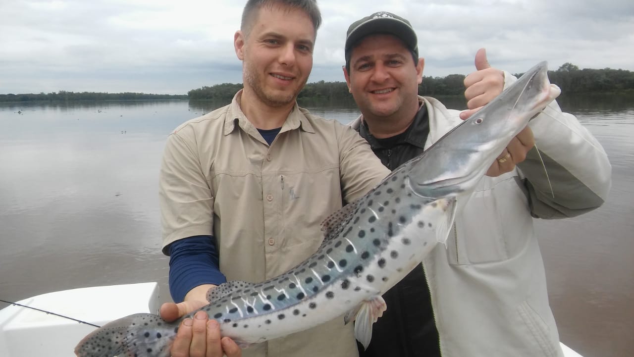 IMG-20190817-WA