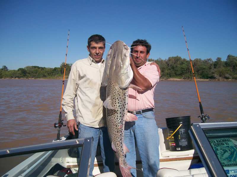 guia de pesca matas scheller 20090723