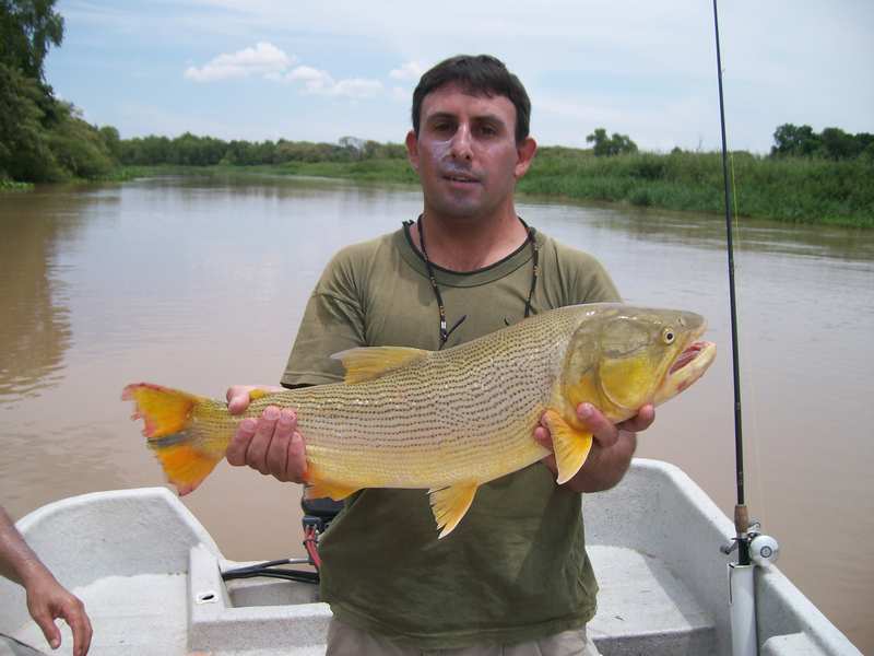 guia de pesca matas scheller 20090723
