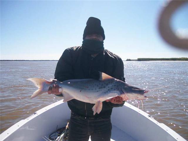 guia de pesca matas scheller 20090723