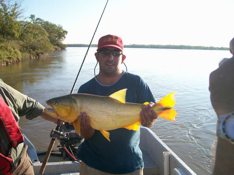 guia de pesca matas scheller 20090723