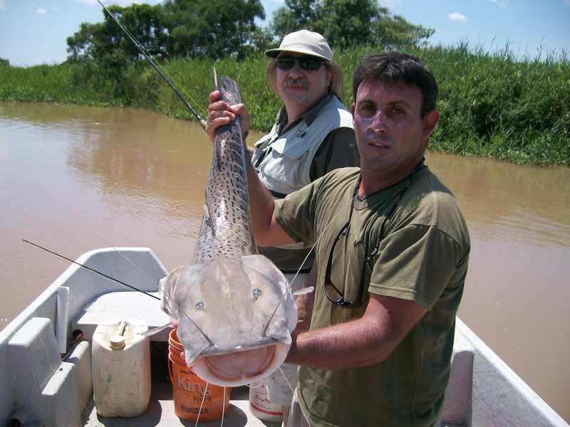 guia de pesca matas scheller 20090723