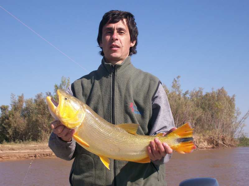 guia de pesca matas scheller 20090723