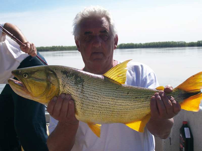 guia de pesca matas scheller 20090723
