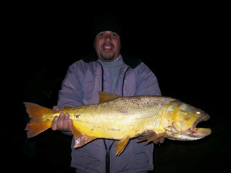 guia de pesca matas scheller 20090723