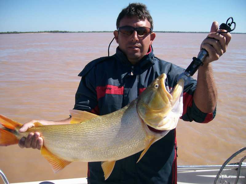guia de pesca matas scheller 20090723