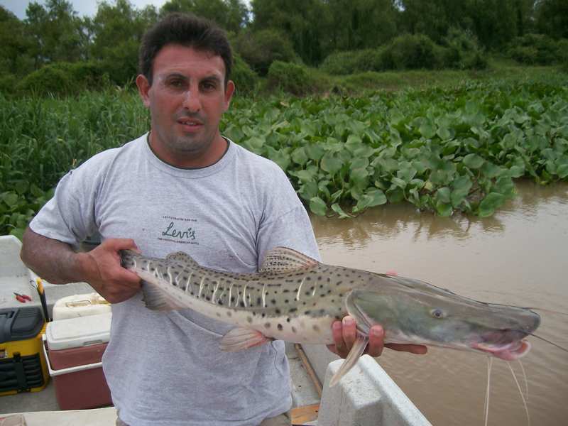 guia de pesca matas scheller 20090723