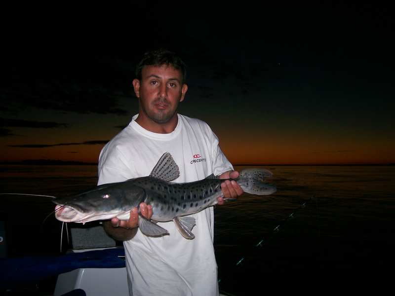 guia de pesca matas scheller 20090723