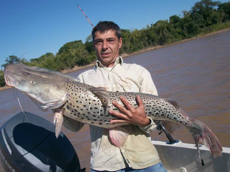 guia de pesca matas scheller 20090723