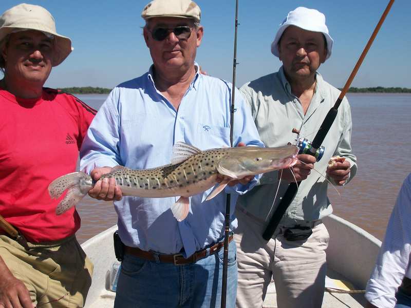 guia de pesca matas scheller 20090723