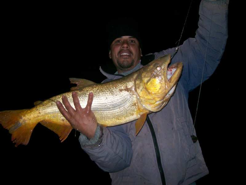 guia de pesca matas scheller 20090723