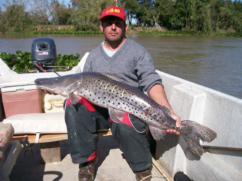 guia de pesca matas scheller 20090723