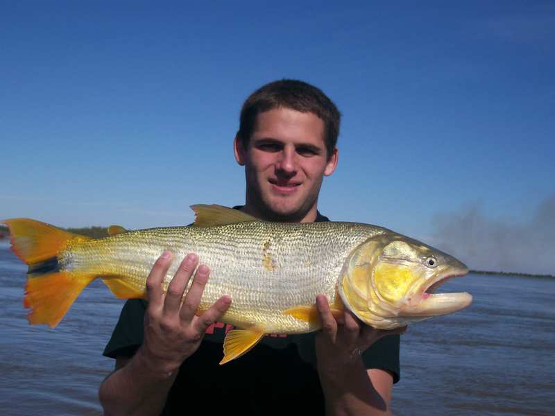 guia de pesca matas scheller 20090723