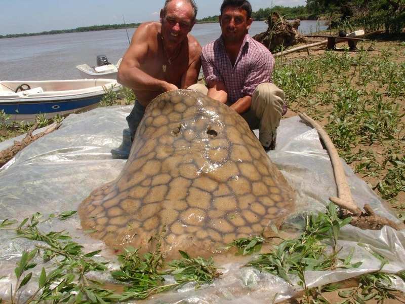 guia de pesca matas scheller 20090723