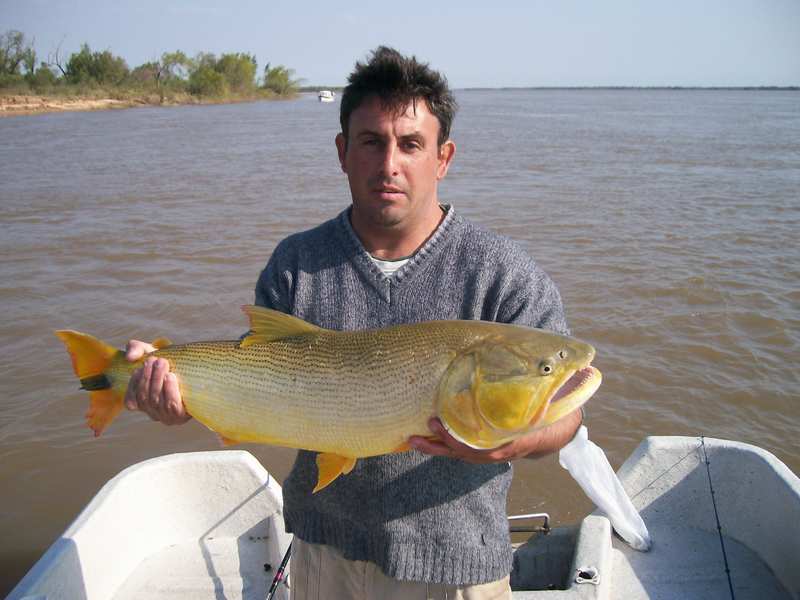 guia de pesca matas scheller 20090723