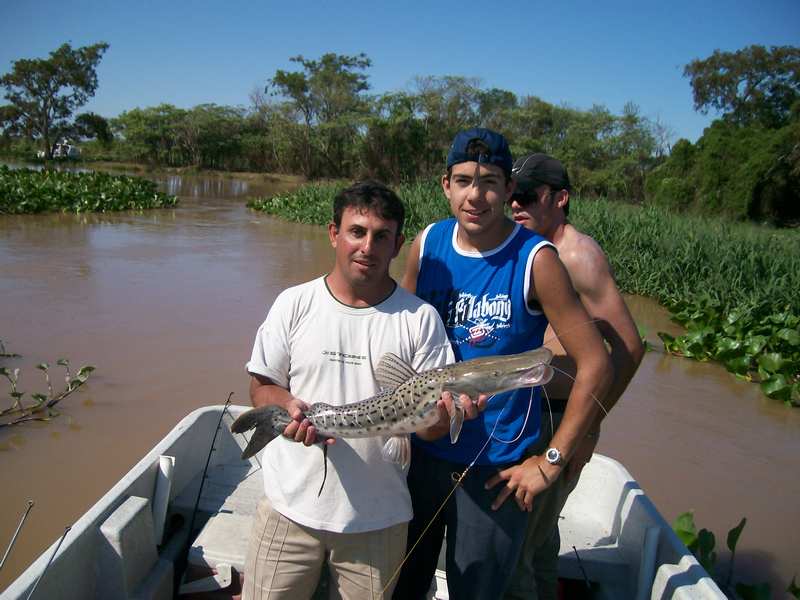 guia de pesca matas scheller 20090723