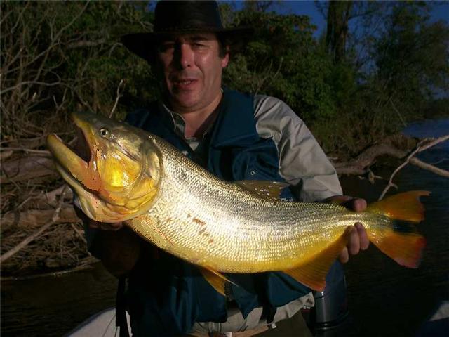 guia de pesca matas scheller 20090723