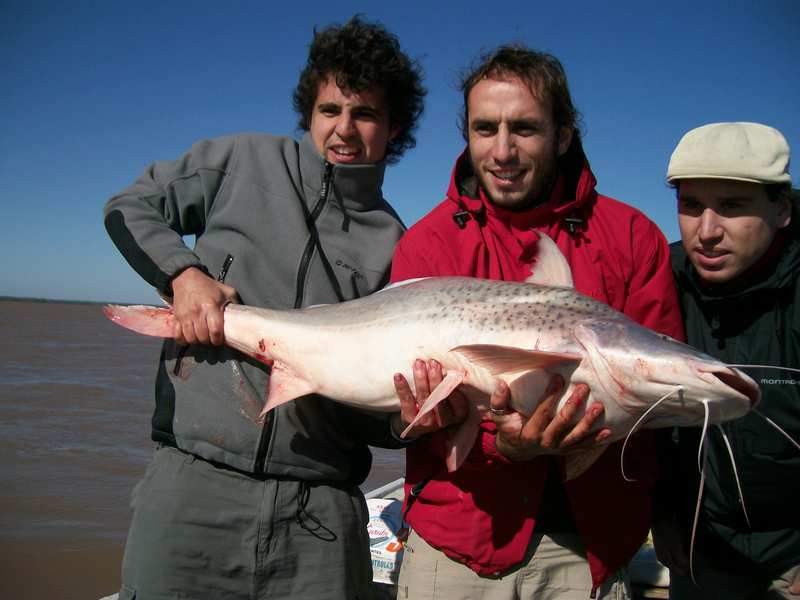 guia de pesca matas scheller 20090723