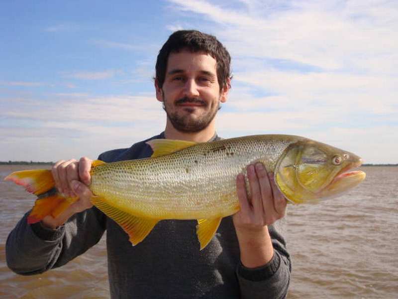 guia de pesca matas scheller 20090723