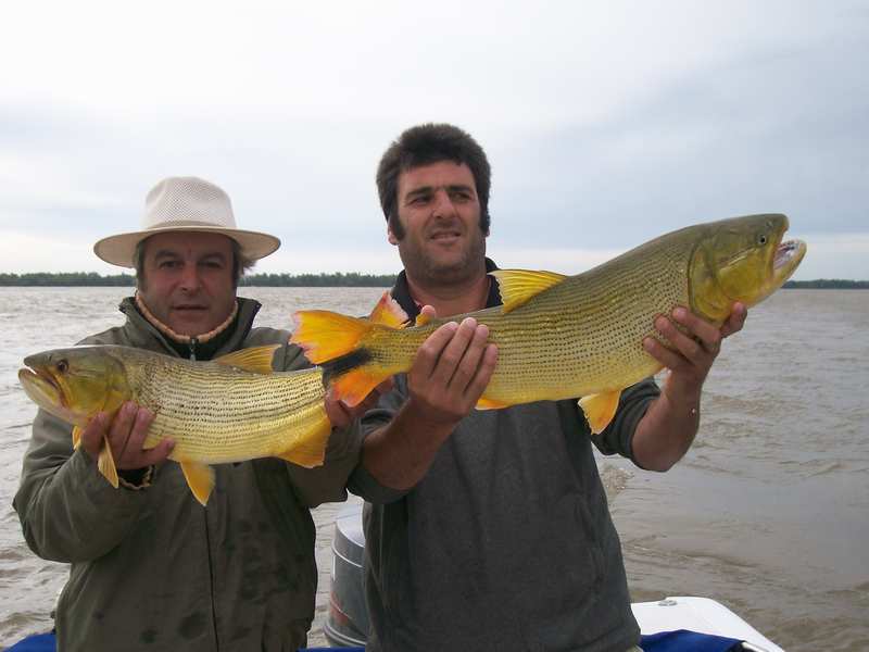 guia de pesca matas scheller 20090723