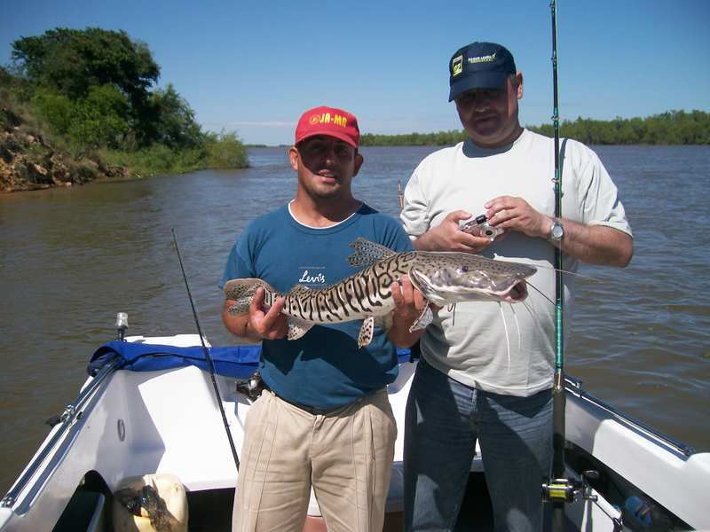 guia de pesca matas scheller 20090723