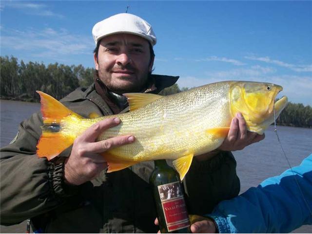 guia de pesca matas scheller 20090723