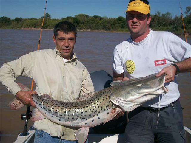 guia de pesca matas scheller 20090723