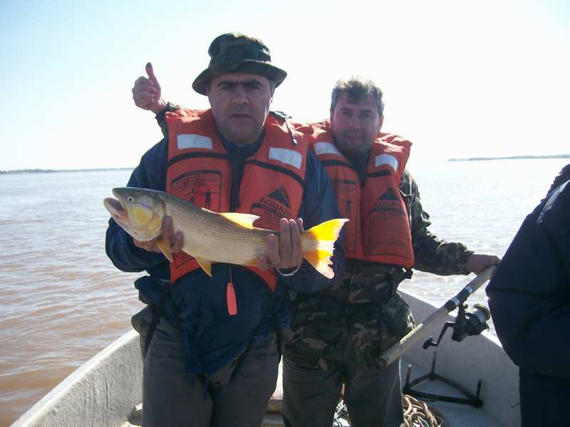guia de pesca matas scheller 20090723