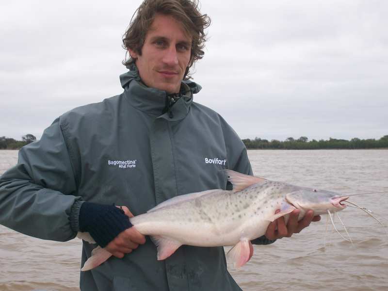 guia de pesca matas scheller 20090723