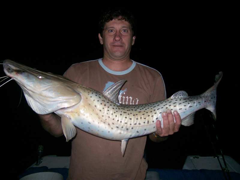 guia de pesca matas scheller 20090723