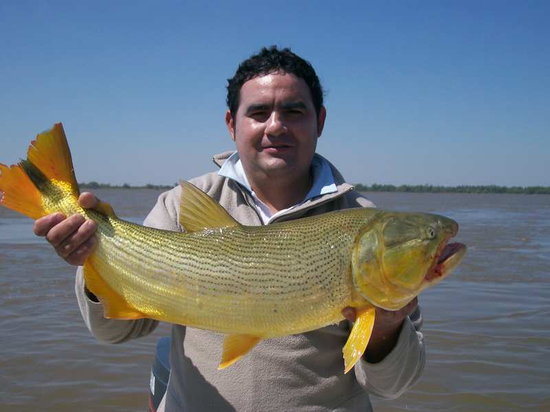 guia de pesca matas scheller 20090723