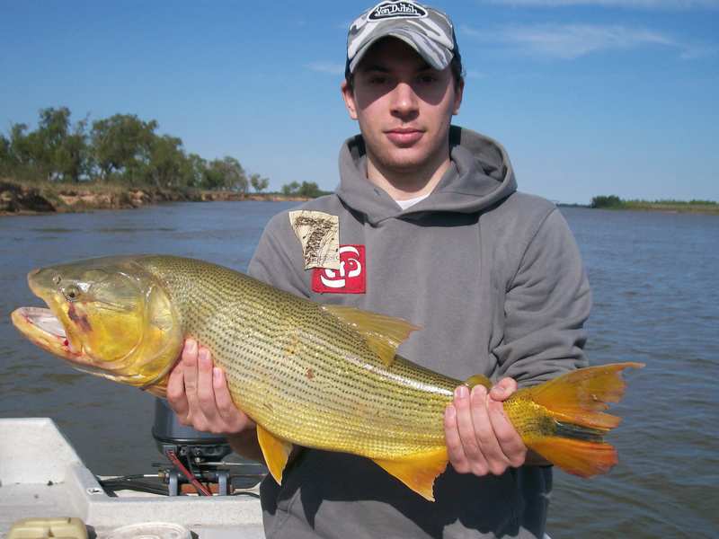 guia de pesca matas scheller 20090723