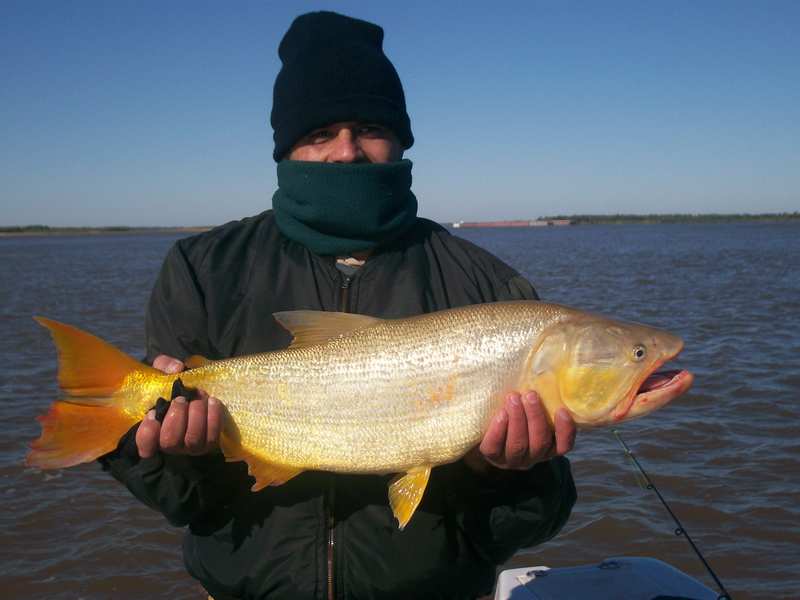 guia de pesca matas scheller 20090723