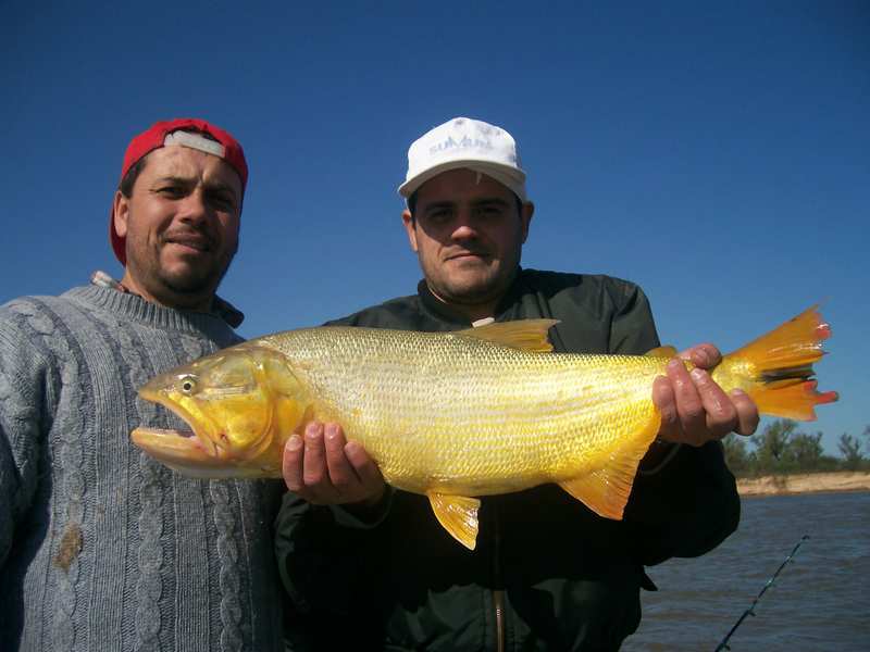 guia de pesca matas scheller 20090723