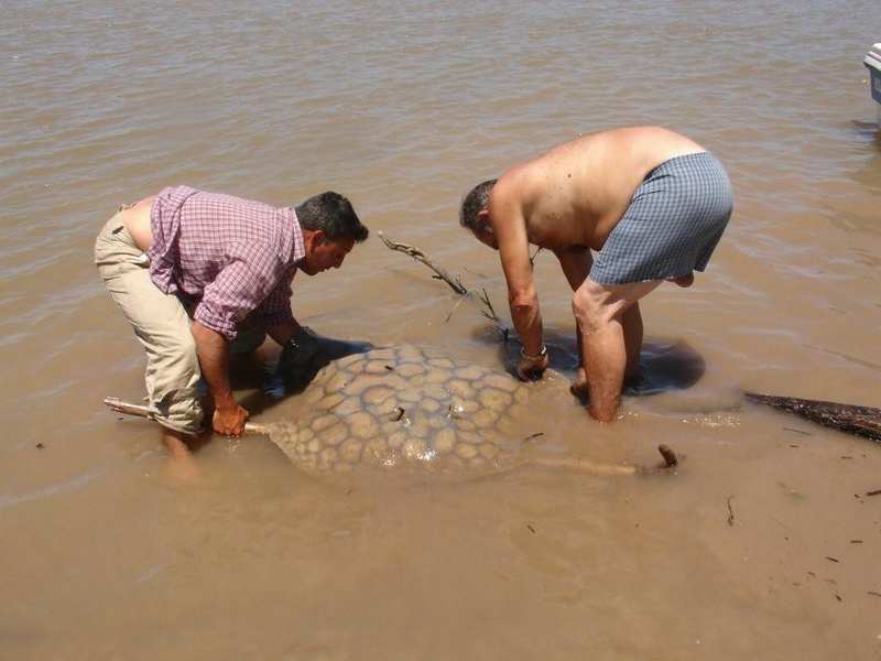 guia de pesca matas scheller 20090723