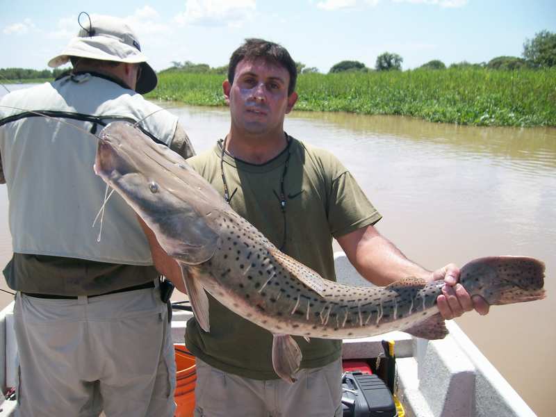 guia de pesca matas scheller 20090723