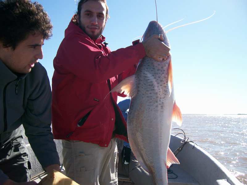guia de pesca matas scheller 20090723