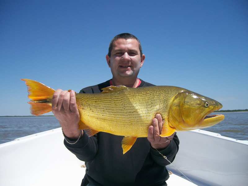 guia de pesca matas scheller 20090723