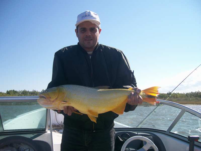 guia de pesca matas scheller 20090723