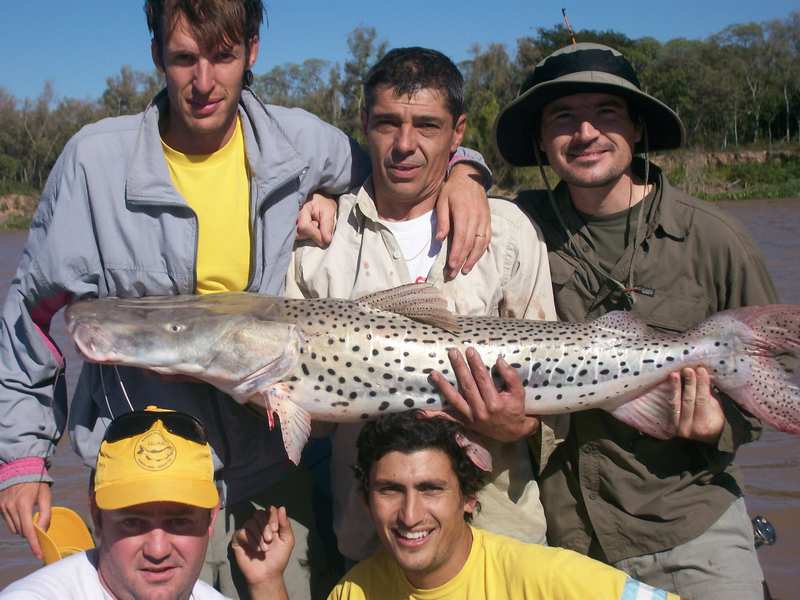 guia de pesca matas scheller 20090723